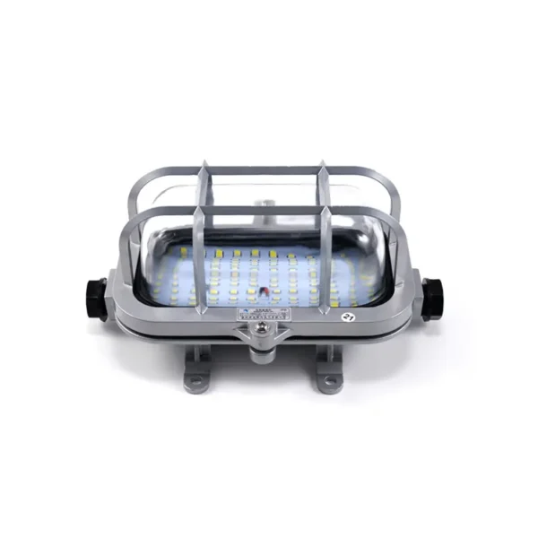 LED MARINE PENDANT LIGHT CCD2-1-2L