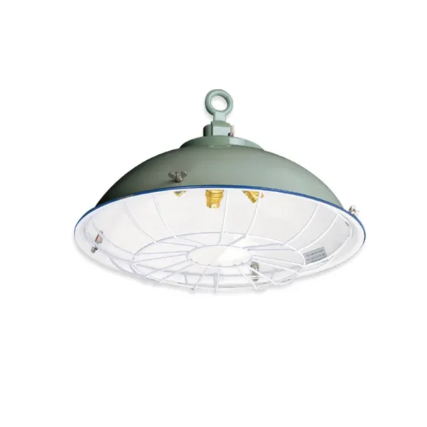 FIVE-BULB CARGO LIGHT