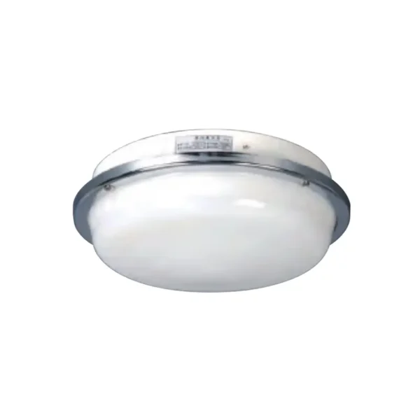 SINGLE-BULB CEILING LIGHT